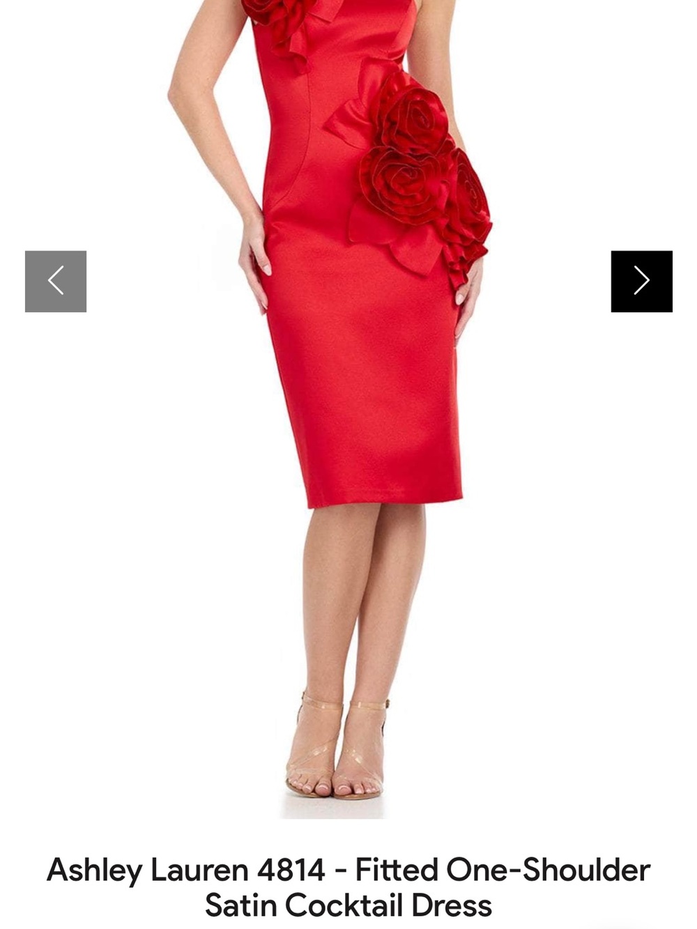 Ashley Lauren formal dress with Floral Appliqué